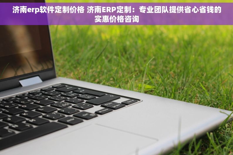 济南erp软件定制价格 济南ERP定制：专业团队提供省心省钱的实惠价格咨询