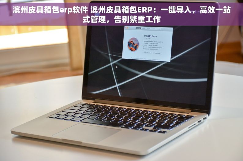 滨州皮具箱包erp软件 滨州皮具箱包ERP：一键导入，高效一站式管理，告别繁重工作