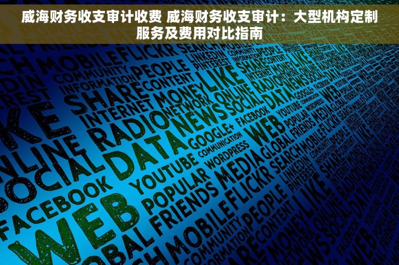 威海财务收支审计收费 威海财务收支审计：大型机构定制服务及费用对比指南