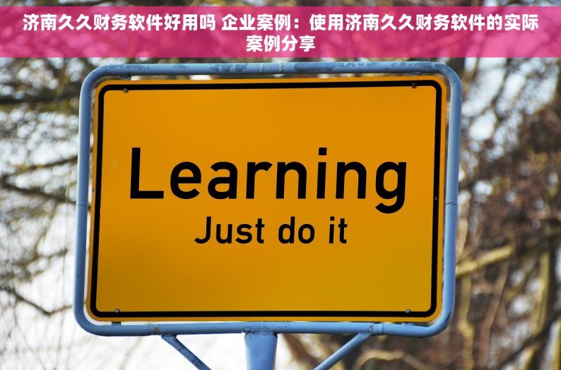 济南久久财务软件好用吗 企业案例：使用济南久久财务软件的实际案例分享