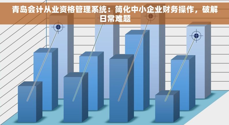 青岛会计从业资格管理系统：简化中小企业财务操作，破解日常难题