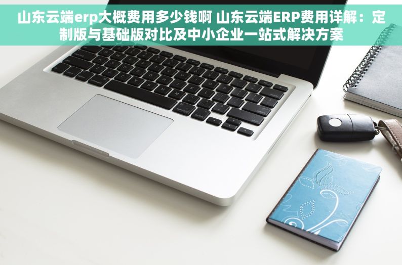 山东云端erp大概费用多少钱啊 山东云端ERP费用详解：定制版与基础版对比及中小企业一站式解决方案