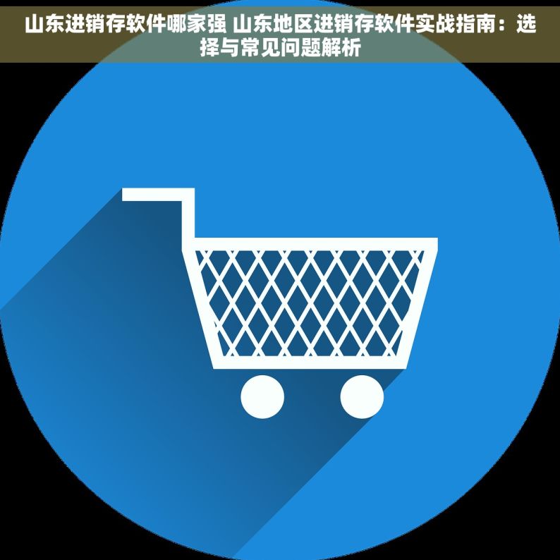 山东进销存软件哪家强 山东地区进销存软件实战指南：选择与常见问题解析