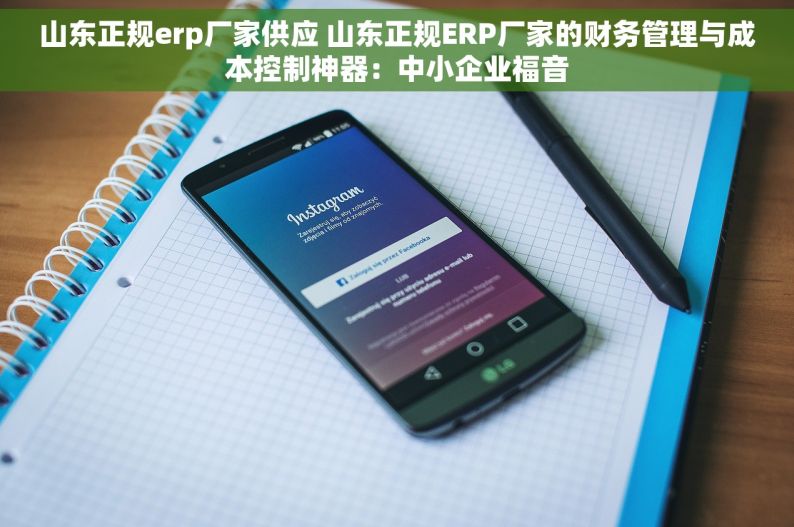 山东正规erp厂家供应 山东正规ERP厂家的财务管理与成本控制神器：中小企业福音