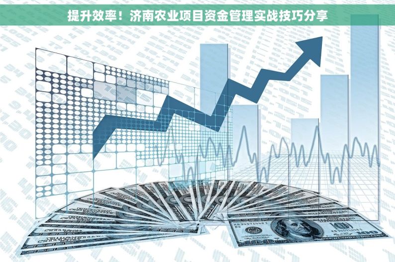 提升效率！济南农业项目资金管理实战技巧分享