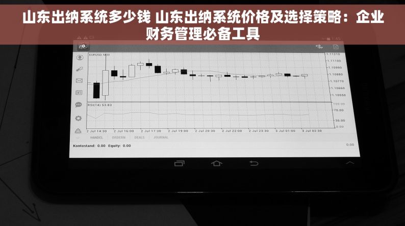 山东出纳系统多少钱 山东出纳系统价格及选择策略：企业财务管理必备工具