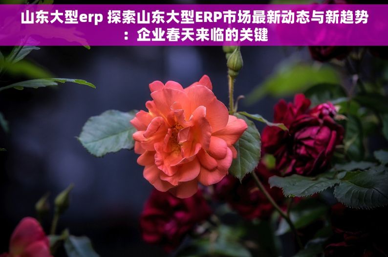 山东大型erp 探索山东大型ERP市场最新动态与新趋势：企业春天来临的关键