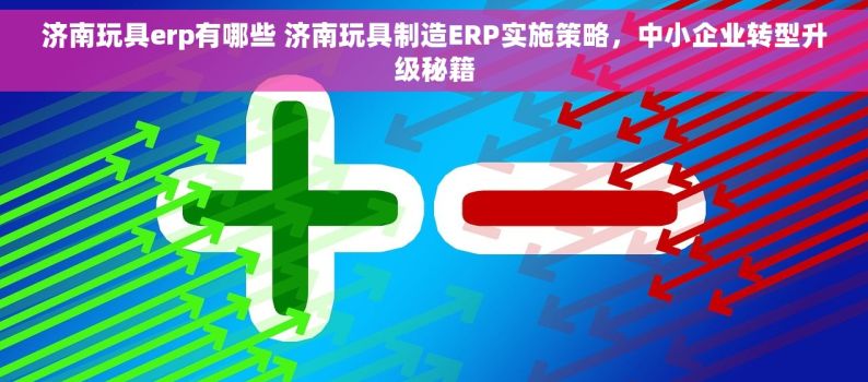 济南玩具erp有哪些 济南玩具制造ERP实施策略，中小企业转型升级秘籍