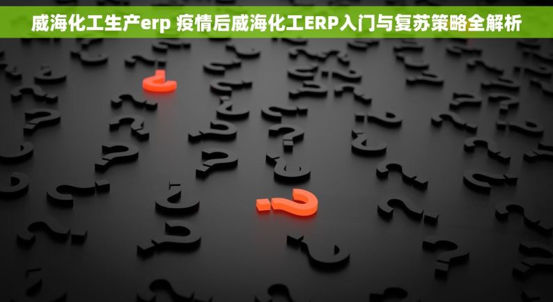 威海化工生产erp 疫情后威海化工ERP入门与复苏策略全解析