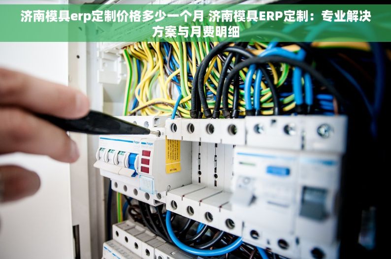 济南模具erp定制价格多少一个月 济南模具ERP定制：专业解决方案与月费明细