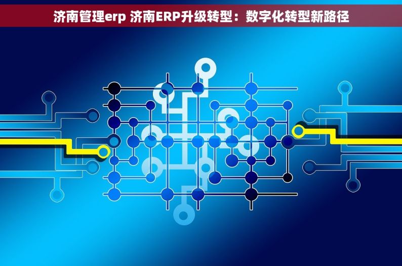 济南管理erp 济南ERP升级转型：数字化转型新路径