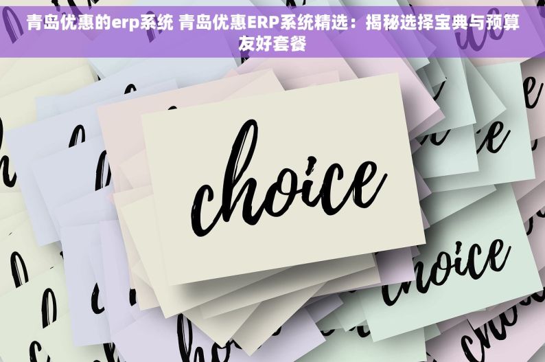 青岛优惠的erp系统 青岛优惠ERP系统精选：揭秘选择宝典与预算友好套餐