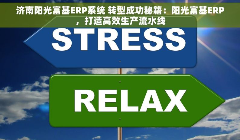 济南阳光富基ERP系统 转型成功秘籍：阳光富基ERP，打造高效生产流水线