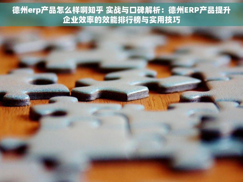 德州erp产品怎么样啊知乎 实战与口碑解析：德州ERP产品提升企业效率的效能排行榜与实用技巧