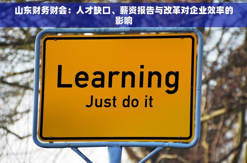 山东财务财会：人才缺口、薪资报告与改革对企业效率的影响