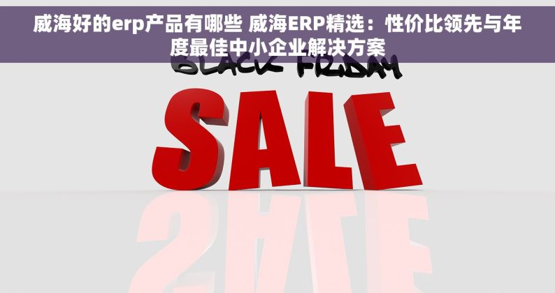 威海好的erp产品有哪些 威海ERP精选：性价比领先与年度最佳中小企业解决方案