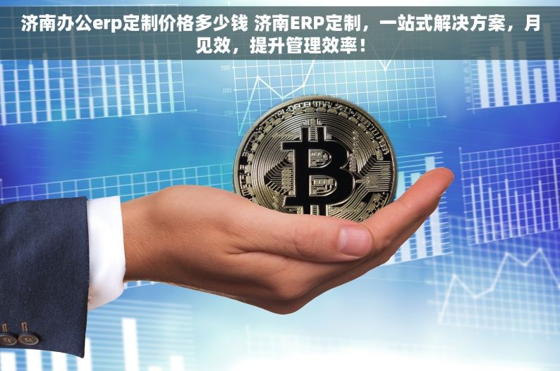 济南办公erp定制价格多少钱 济南ERP定制，一站式解决方案，月见效，提升管理效率！