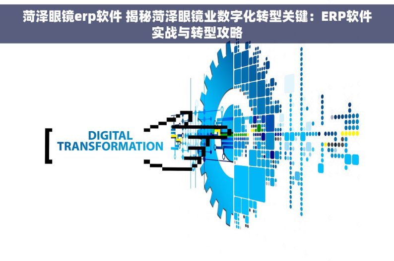 菏泽眼镜erp软件 揭秘菏泽眼镜业数字化转型关键：ERP软件实战与转型攻略