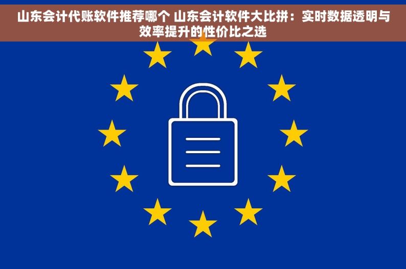 山东会计代账软件推荐哪个 山东会计软件大比拼：实时数据透明与效率提升的性价比之选