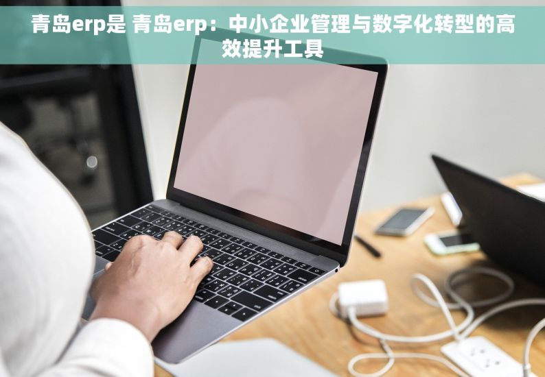 青岛erp是 青岛erp：中小企业管理与数字化转型的高效提升工具