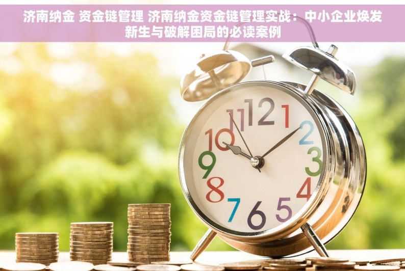 济南纳金 资金链管理 济南纳金资金链管理实战：中小企业焕发新生与破解困局的必读案例