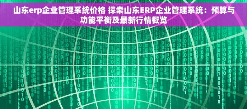 山东erp企业管理系统价格 探索山东ERP企业管理系统：预算与功能平衡及最新行情概览