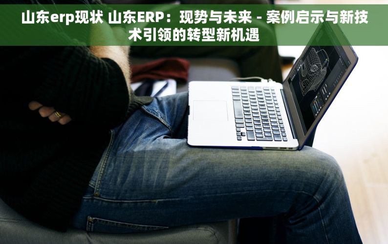 山东erp现状 山东ERP：现势与未来 - 案例启示与新技术引领的转型新机遇