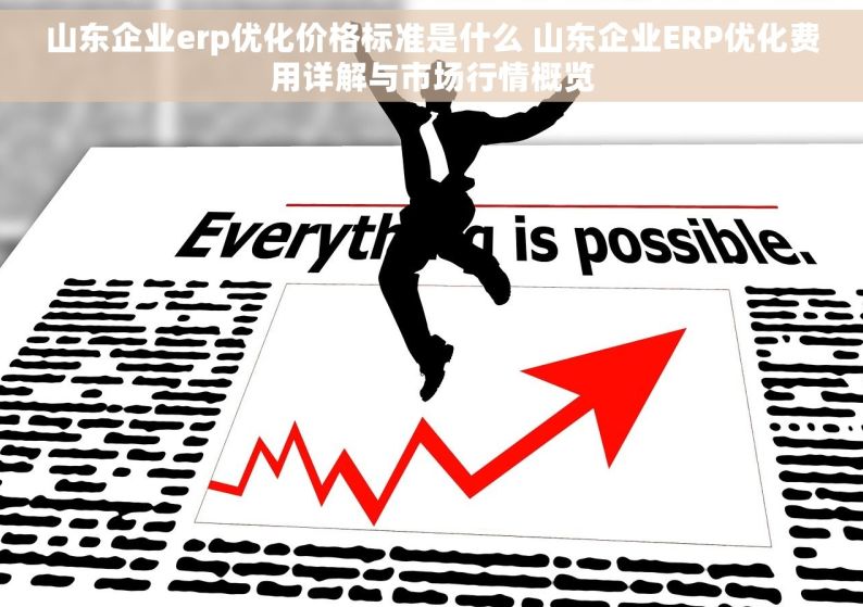 山东企业erp优化价格标准是什么 山东企业ERP优化费用详解与市场行情概览