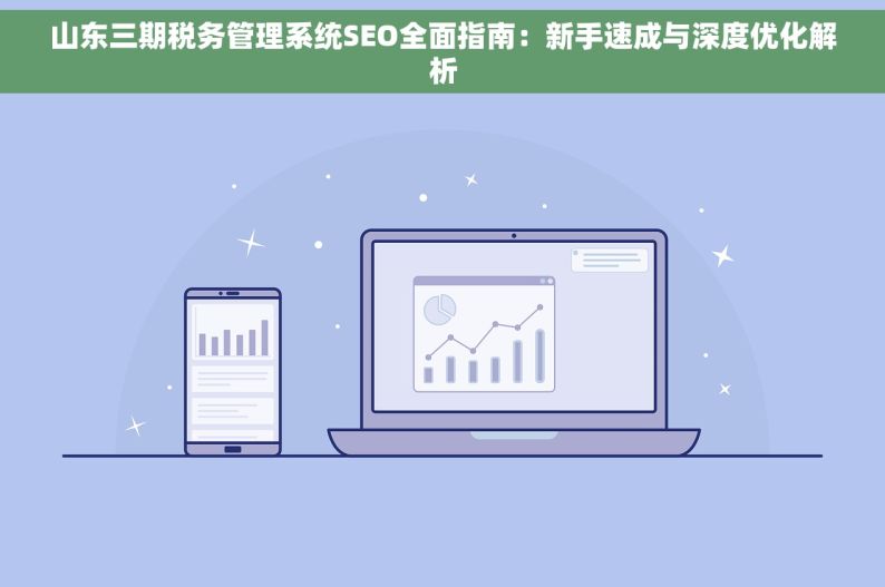 山东三期税务管理系统SEO全面指南：新手速成与深度优化解析