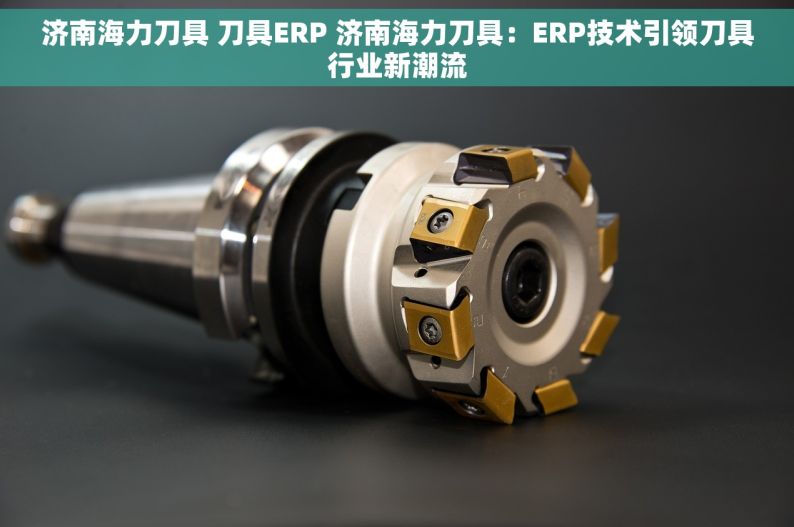 济南海力刀具 刀具ERP 济南海力刀具：ERP技术引领刀具行业新潮流