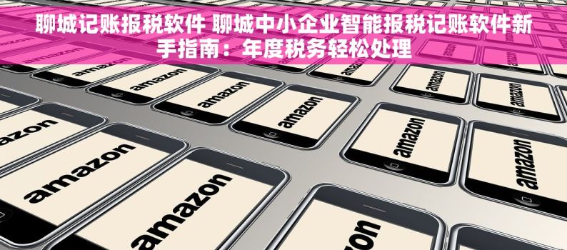 聊城记账报税软件 聊城中小企业智能报税记账软件新手指南：年度税务轻松处理