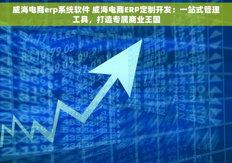 威海电商erp系统软件 威海电商ERP定制开发：一站式管理工具，打造专属商业王国