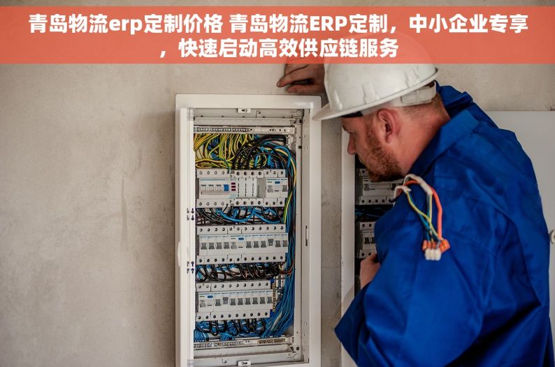 青岛物流erp定制价格 青岛物流ERP定制，中小企业专享，快速启动高效供应链服务