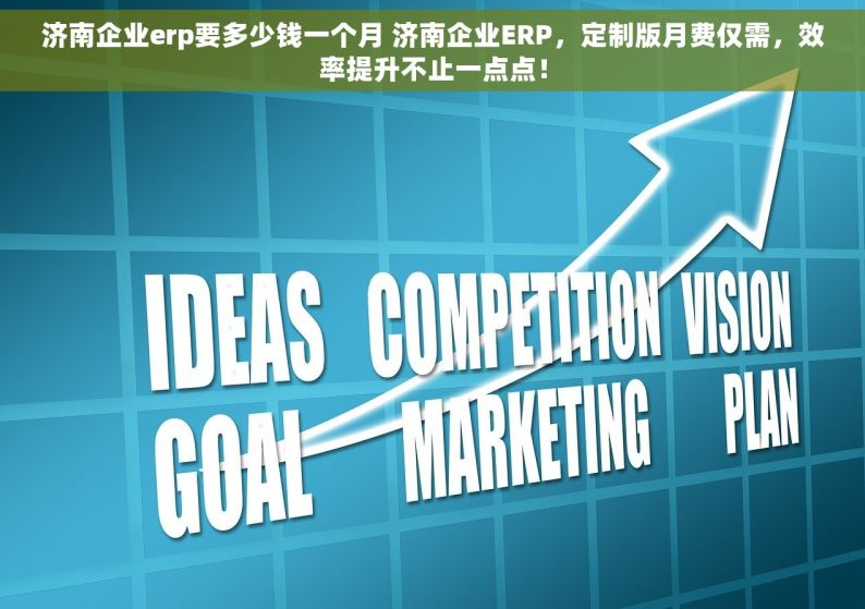 济南企业erp要多少钱一个月 济南企业ERP，定制版月费仅需，效率提升不止一点点！