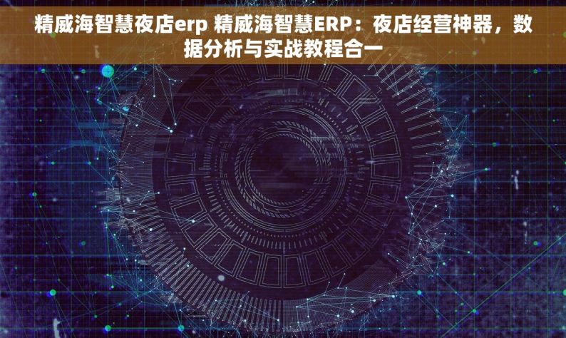 精威海智慧夜店erp 精威海智慧ERP：夜店经营神器，数据分析与实战教程合一