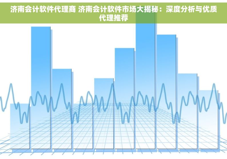 济南会计软件代理商 济南会计软件市场大揭秘：深度分析与优质代理推荐