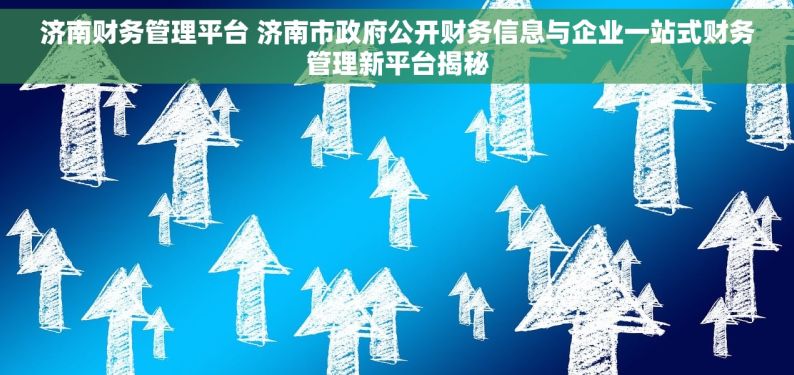 济南财务管理平台 济南市政府公开财务信息与企业一站式财务管理新平台揭秘