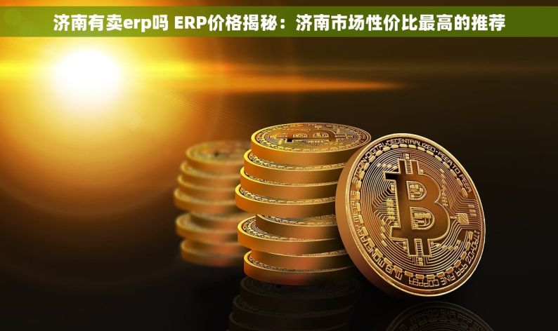 济南有卖erp吗 ERP价格揭秘：济南市场性价比最高的推荐