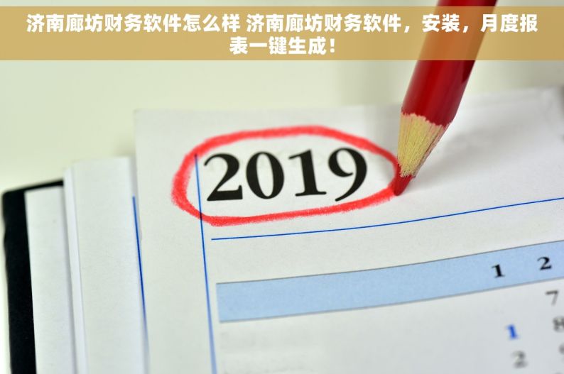 济南廊坊财务软件怎么样 济南廊坊财务软件，安装，月度报表一键生成！