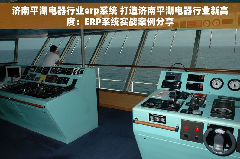 济南平湖电器行业erp系统 打造济南平湖电器行业新高度：ERP系统实战案例分享