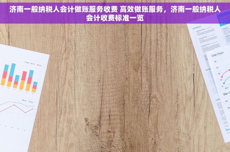 济南一般纳税人会计做账服务收费 高效做账服务，济南一般纳税人会计收费标准一览