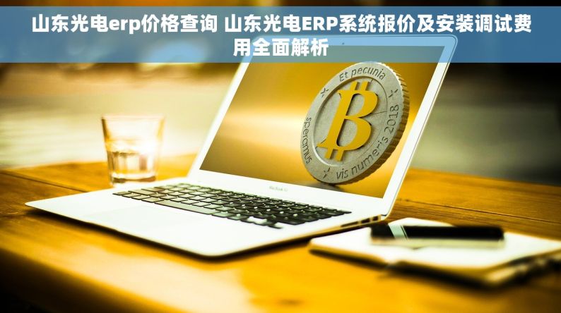 山东光电erp价格查询 山东光电ERP系统报价及安装调试费用全面解析