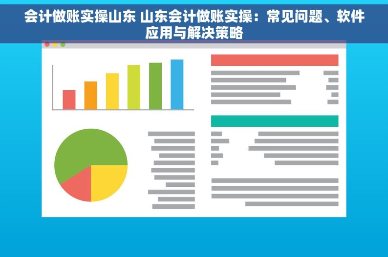 会计做账实操山东 山东会计做账实操：常见问题、软件应用与解决策略