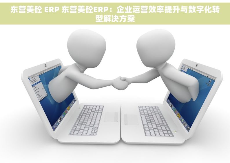 东营美砼 ERP 东营美砼ERP：企业运营效率提升与数字化转型解决方案