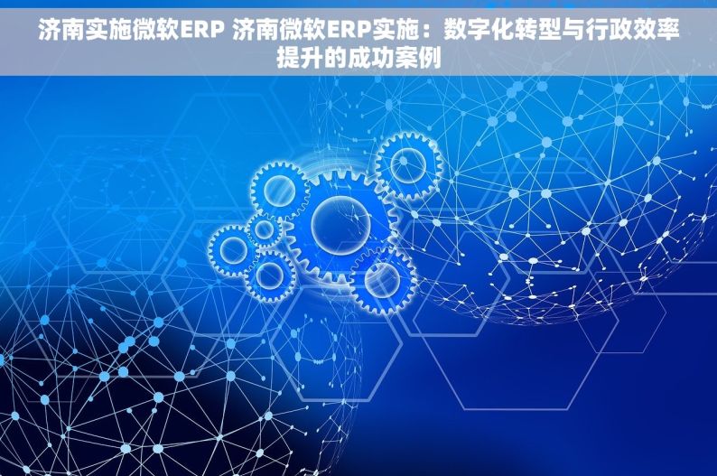 济南实施微软ERP 济南微软ERP实施：数字化转型与行政效率提升的成功案例