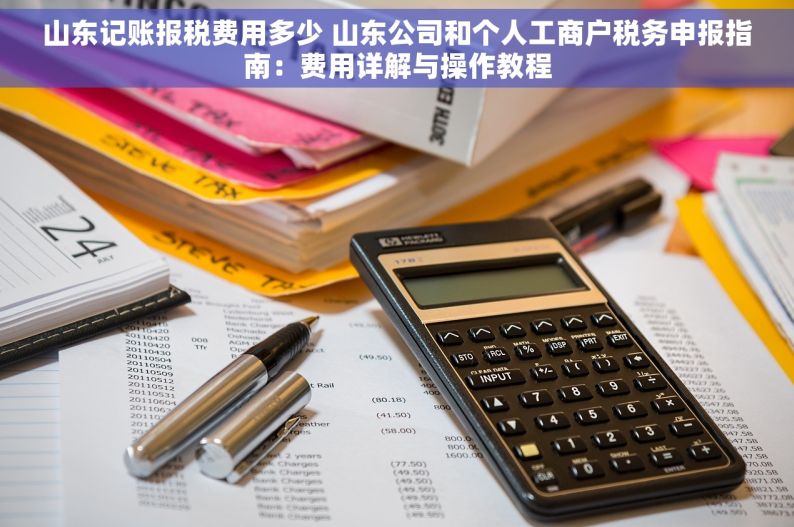 山东记账报税费用多少 山东公司和个人工商户税务申报指南：费用详解与操作教程