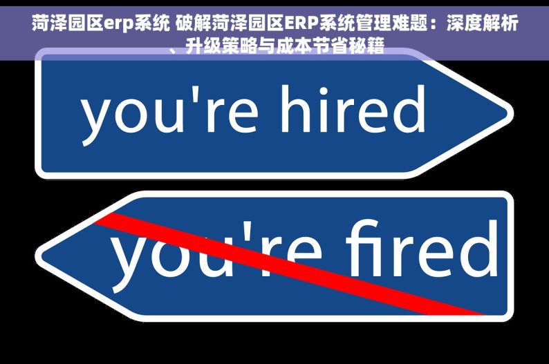 菏泽园区erp系统 破解菏泽园区ERP系统管理难题：深度解析、升级策略与成本节省秘籍