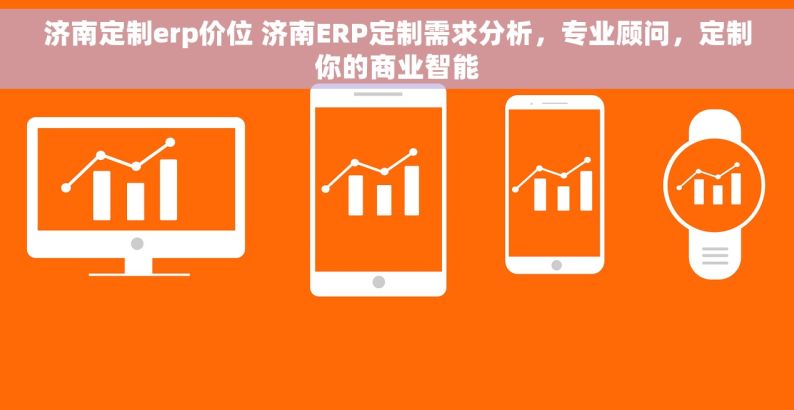 济南定制erp价位 济南ERP定制需求分析，专业顾问，定制你的商业智能