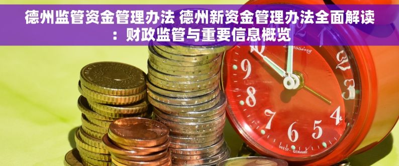 德州监管资金管理办法 德州新资金管理办法全面解读：财政监管与重要信息概览