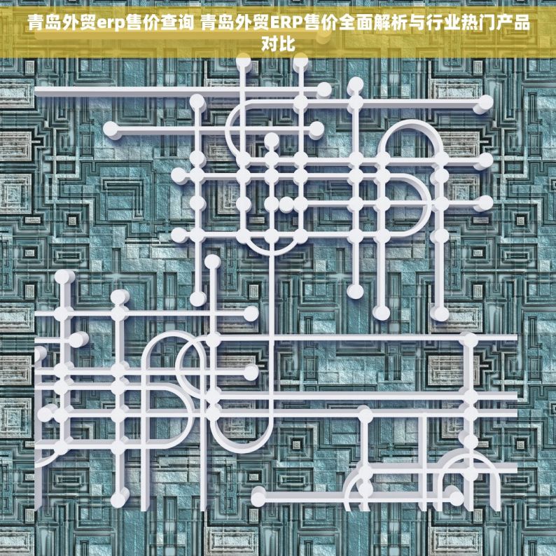 青岛外贸erp售价查询 青岛外贸ERP售价全面解析与行业热门产品对比